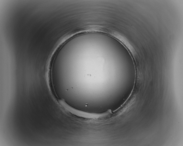 X0000102481093200808151444