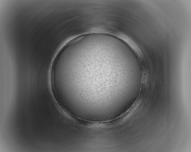 X0000102481094200808151444