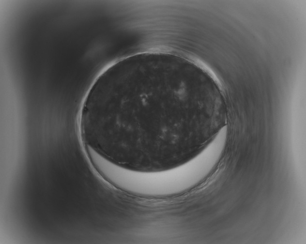 X0000102481095200808151444