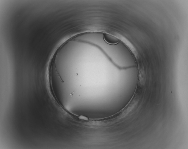 X0000102481096200808151444