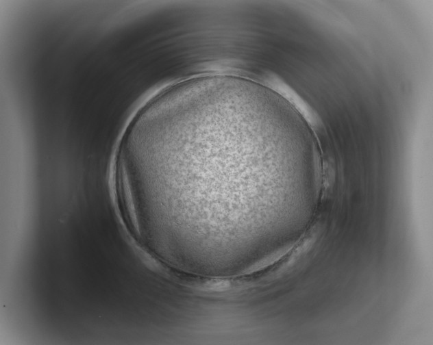 X0000102481098200808151444