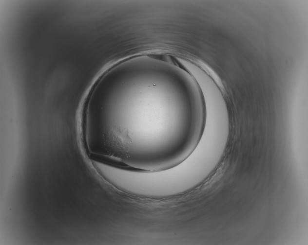 X0000102481099200808151444