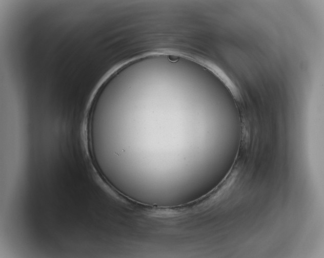 X0000102481100200808151444