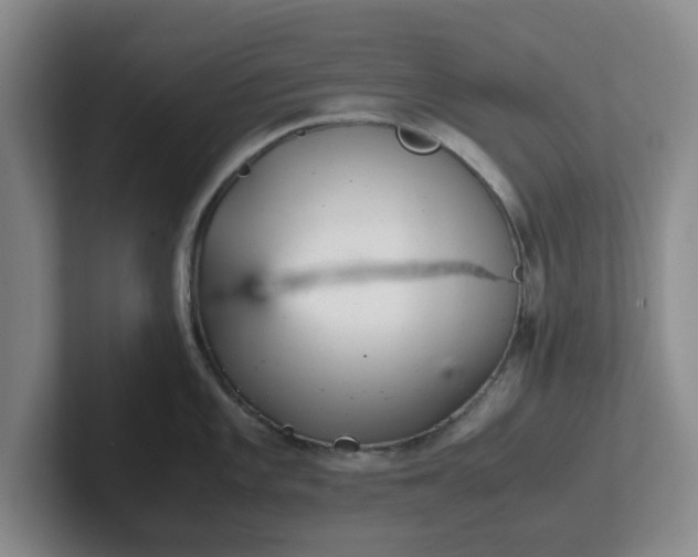 X0000102481101200808151444