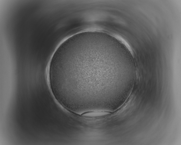 X0000102481103200808151444