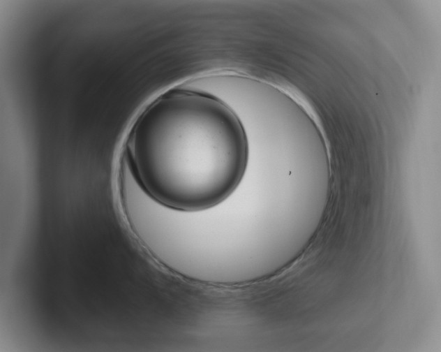 X0000102481104200808151444