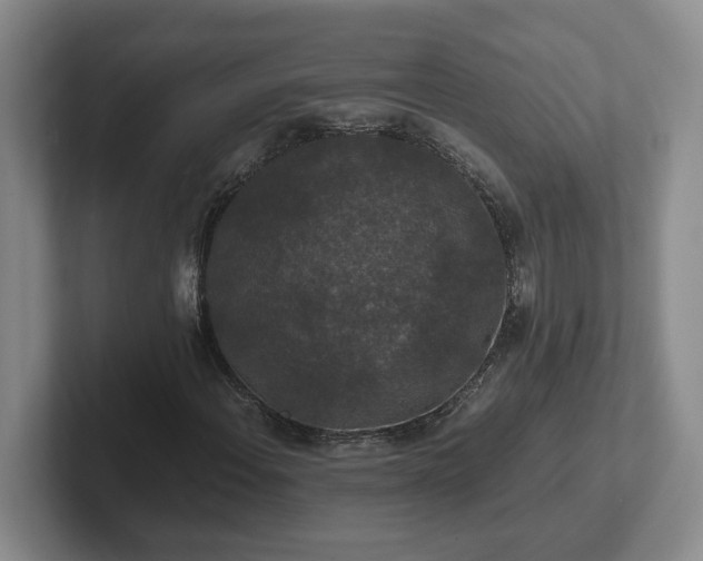 X0000102481108200808151444