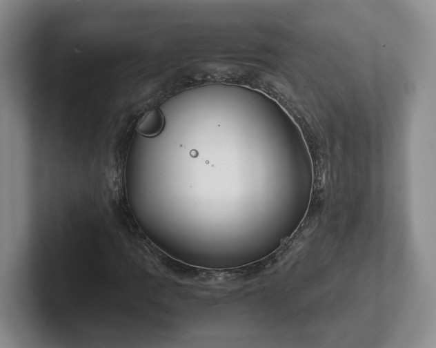 X0000102481109200808151444