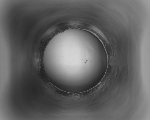 X0000102481111200808151444