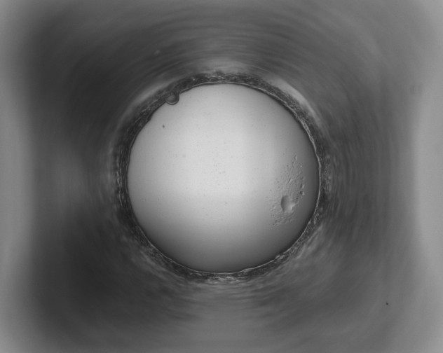 X0000102481112200808151444