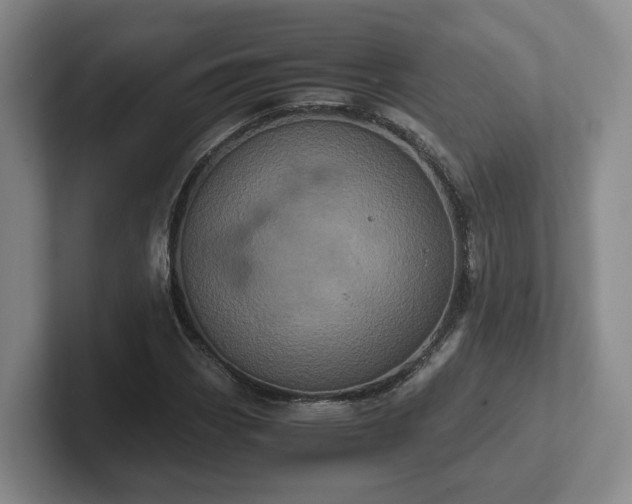 X0000102481113200808151444