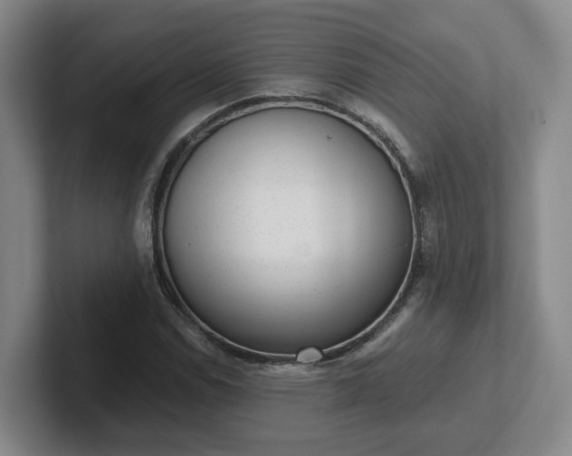 X0000102481114200808151444