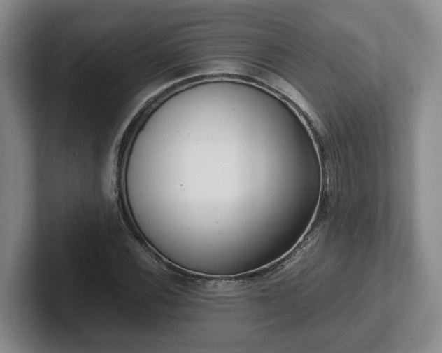 X0000102481116200808151444