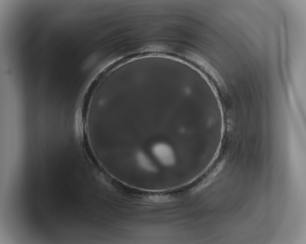 X0000102481117200808151444