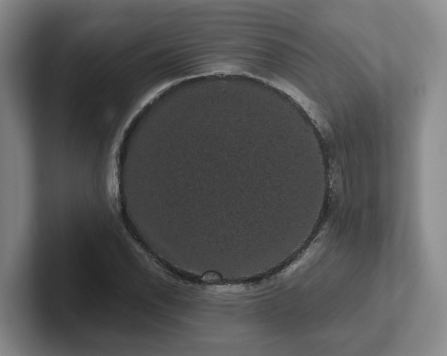 X0000102481118200808151444