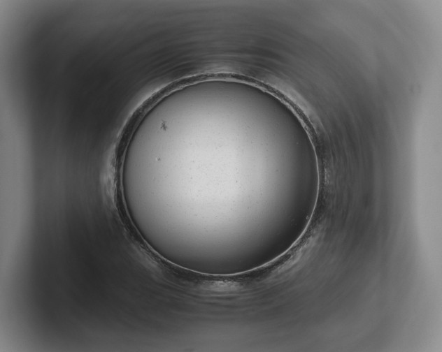 X0000102481119200808151444