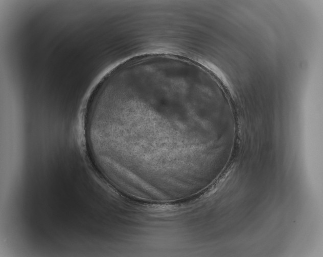 X0000102481120200808151444