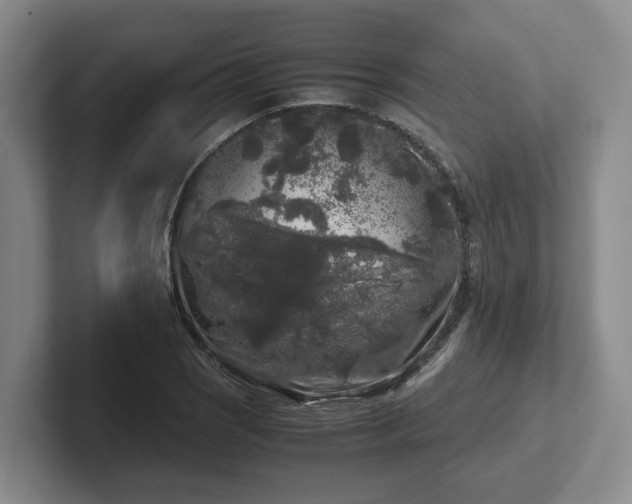 X0000102481121200808151444