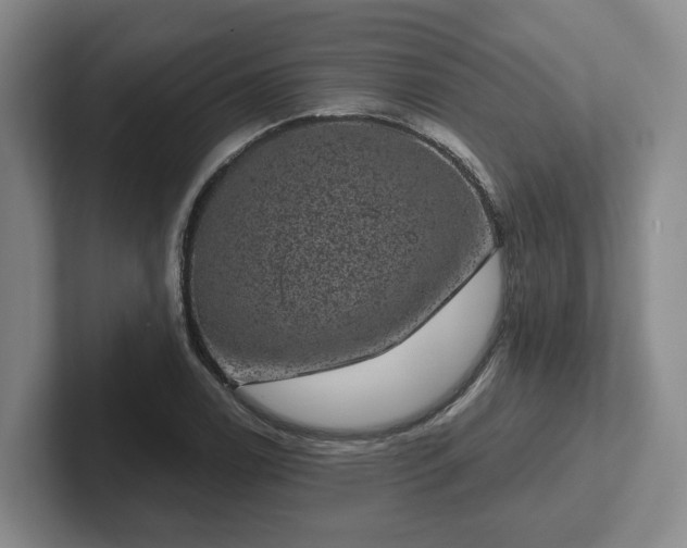 X0000102481122200808151444