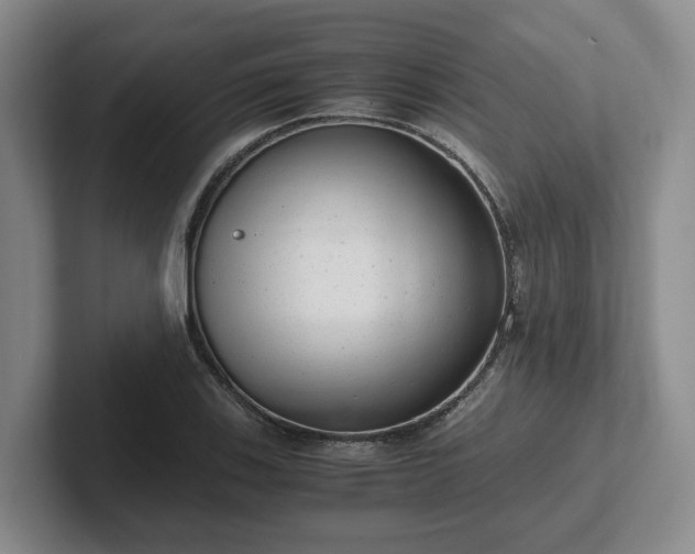 X0000102481123200808151444