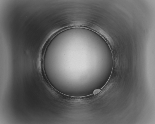 X0000102481124200808151444