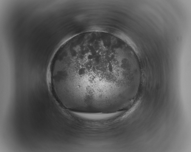 X0000102481125200808151444