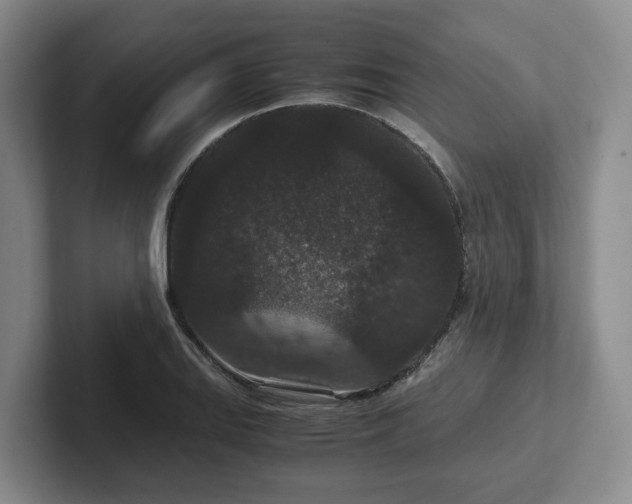 X0000102481127200808151444