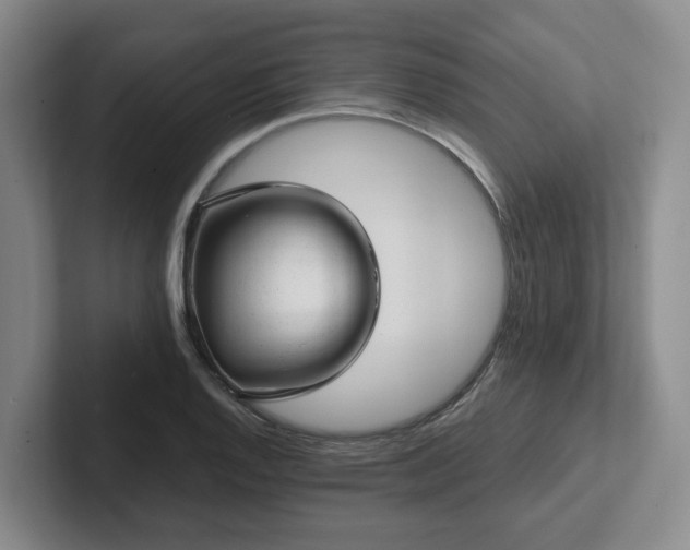 X0000102481128200808151444