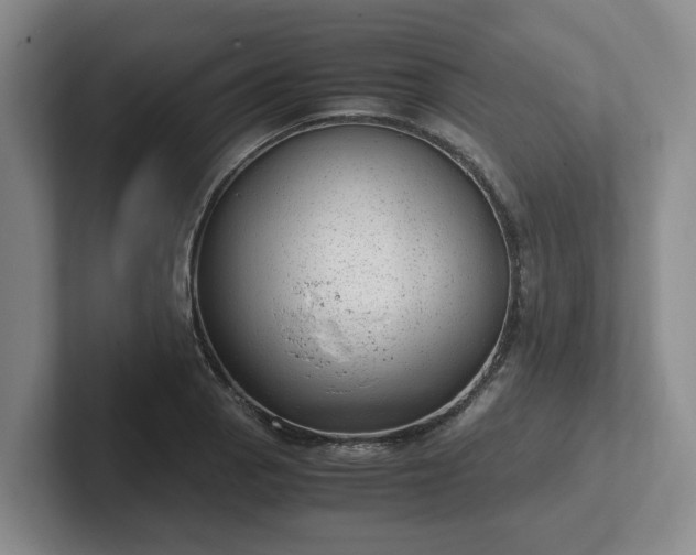 X0000102481129200808151444