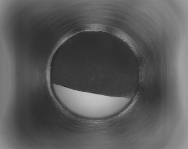 X0000102481130200808151444