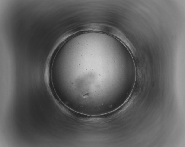 X0000102481131200808151444