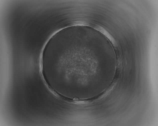 X0000102481132200808151444