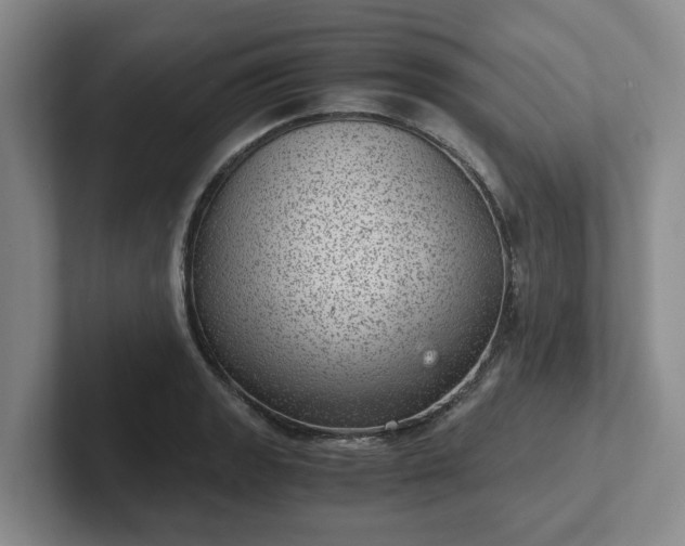 X0000102481133200808151444