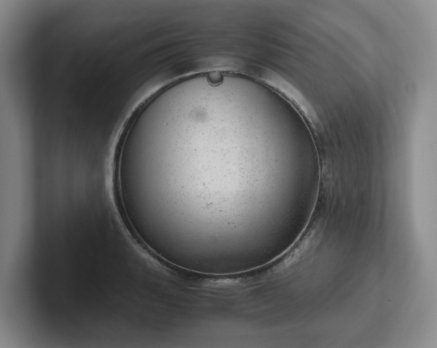 X0000102481135200808151444