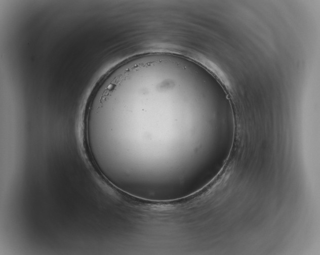 X0000102481136200808151444