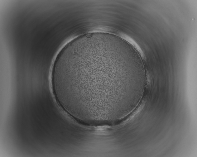 X0000102481138200808151444