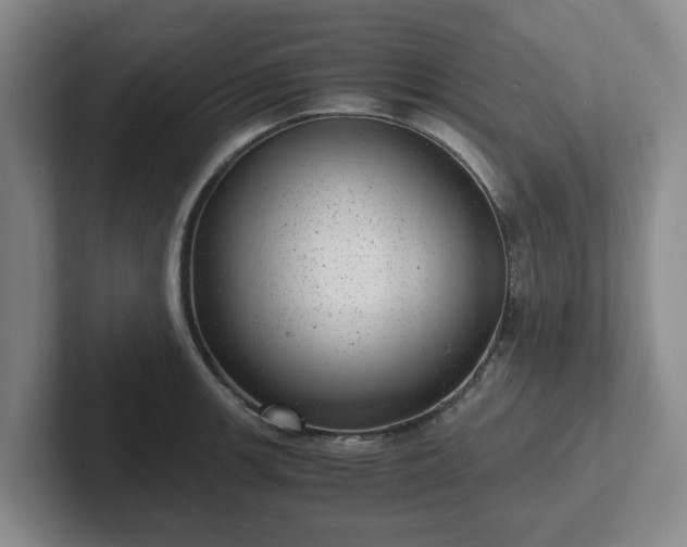 X0000102481139200808151444