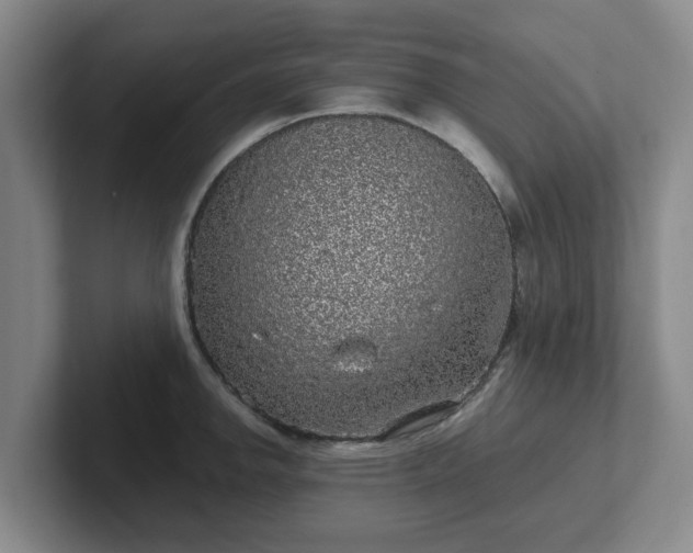 X0000102481142200808151444