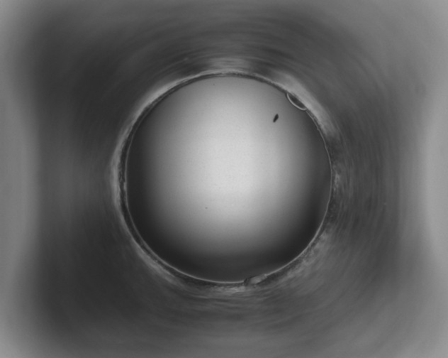 X0000102481143200808151444