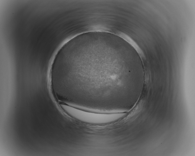 X0000102481144200808151444