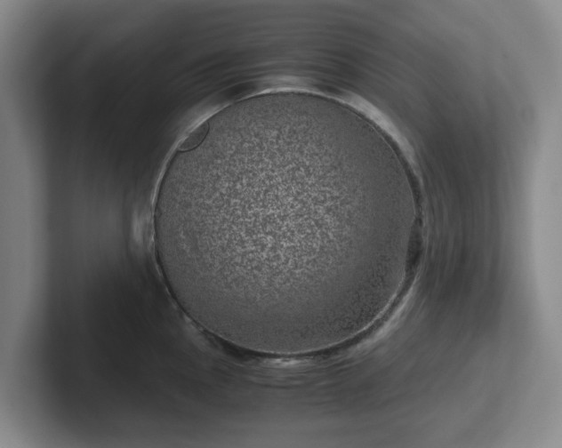 X0000102481145200808151444