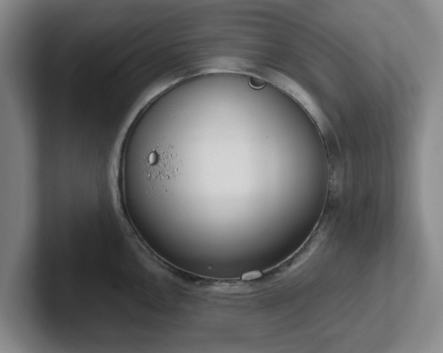 X0000102481146200808151444