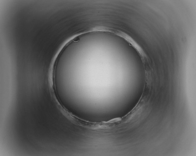 X0000102481148200808151444