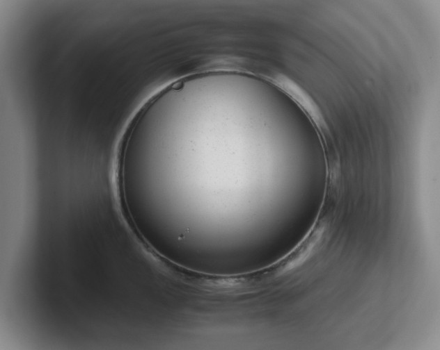 X0000102481149200808151444