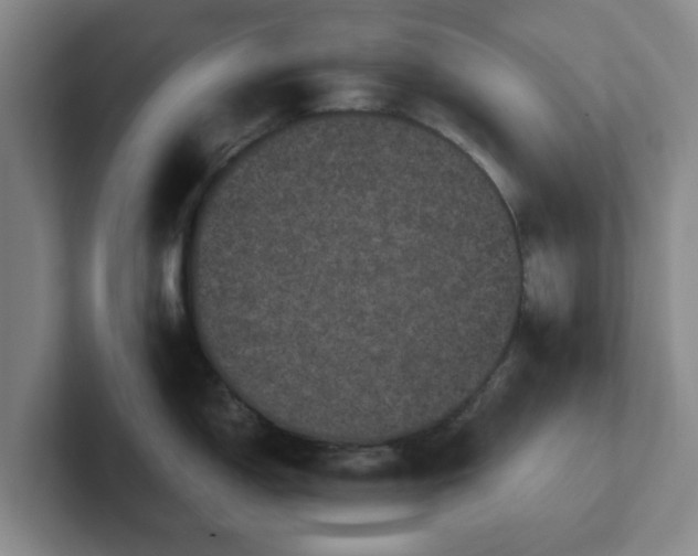 X0000102481150200808151444