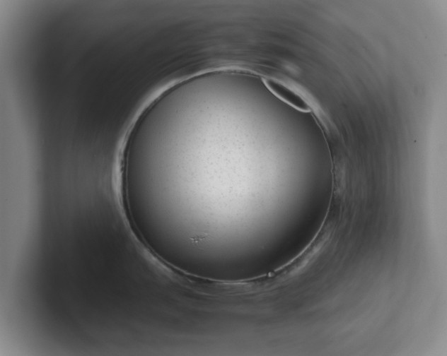 X0000102481151200808151444