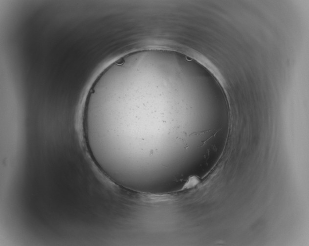 X0000102481152200808151444