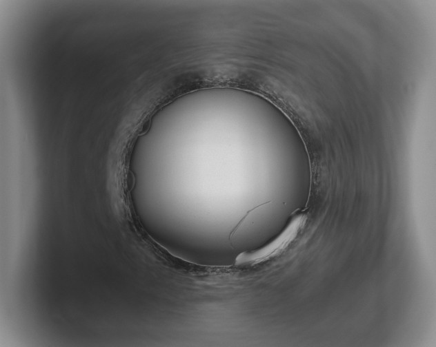 X0000102481153200808151444