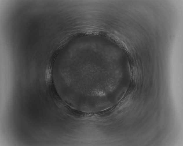 X0000102481154200808151444