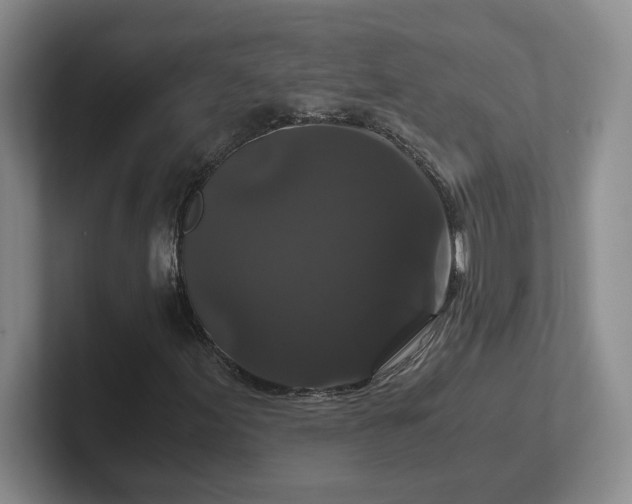 X0000102481155200808151444